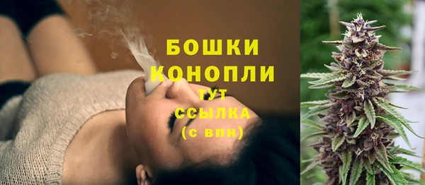 стаф Вязьма