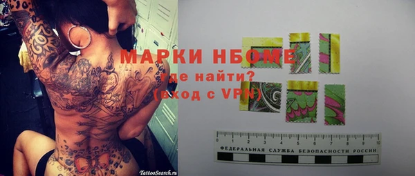 стаф Вязьма