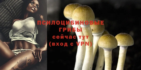 мяу мяу кристалл Вяземский