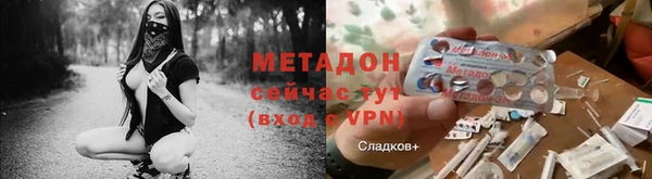 стаф Вязьма