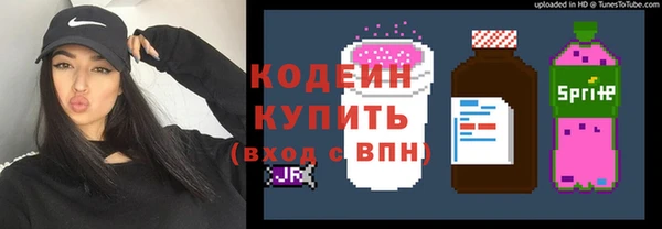 стаф Вязьма