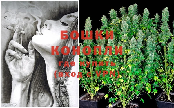 мяу мяу кристалл Вяземский