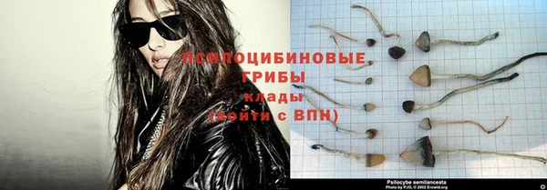 прущий лед Вязники